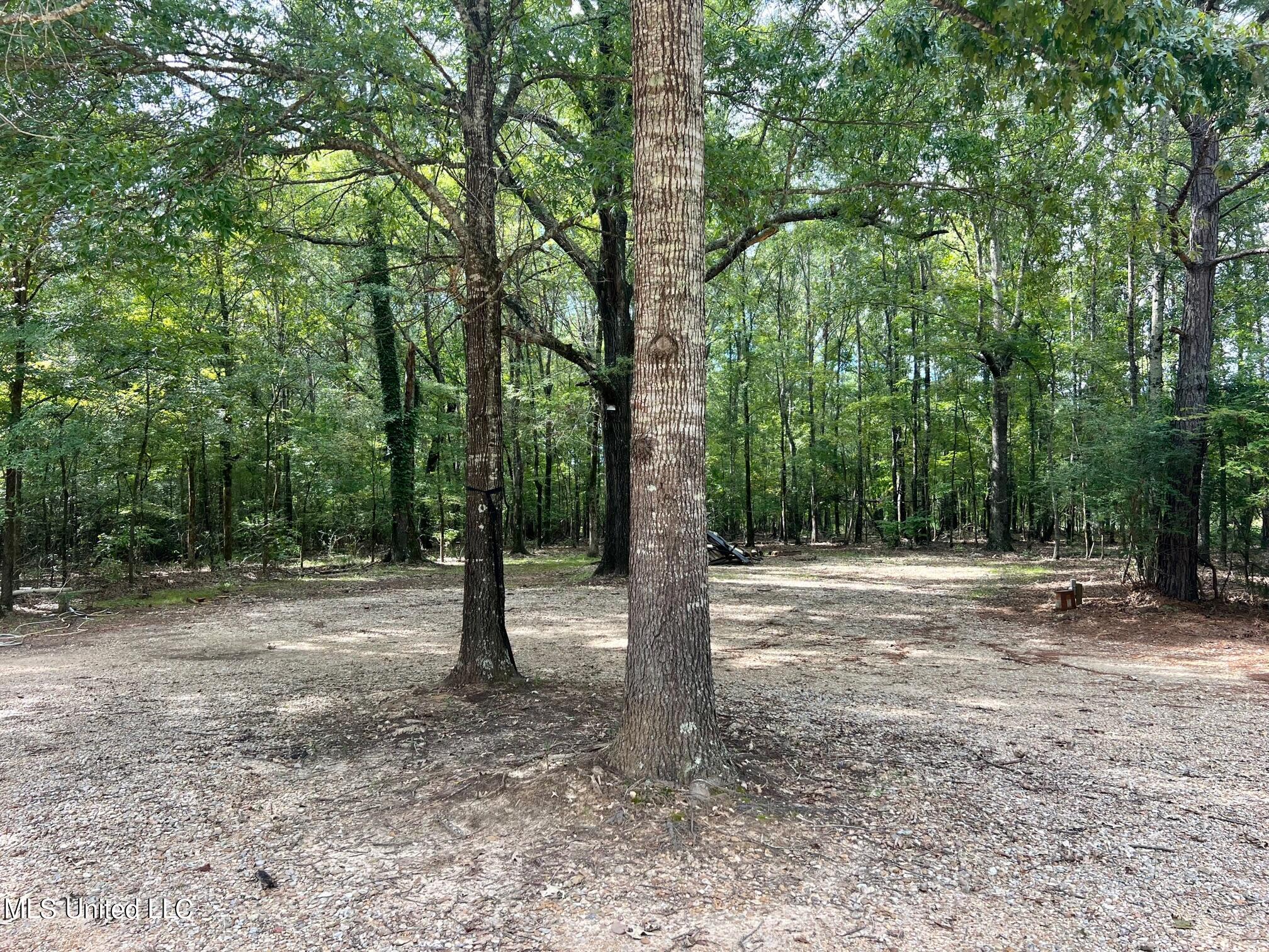 277 Stout Road Canton, MS 39046 - Photo 38 of 42 IMG_9587