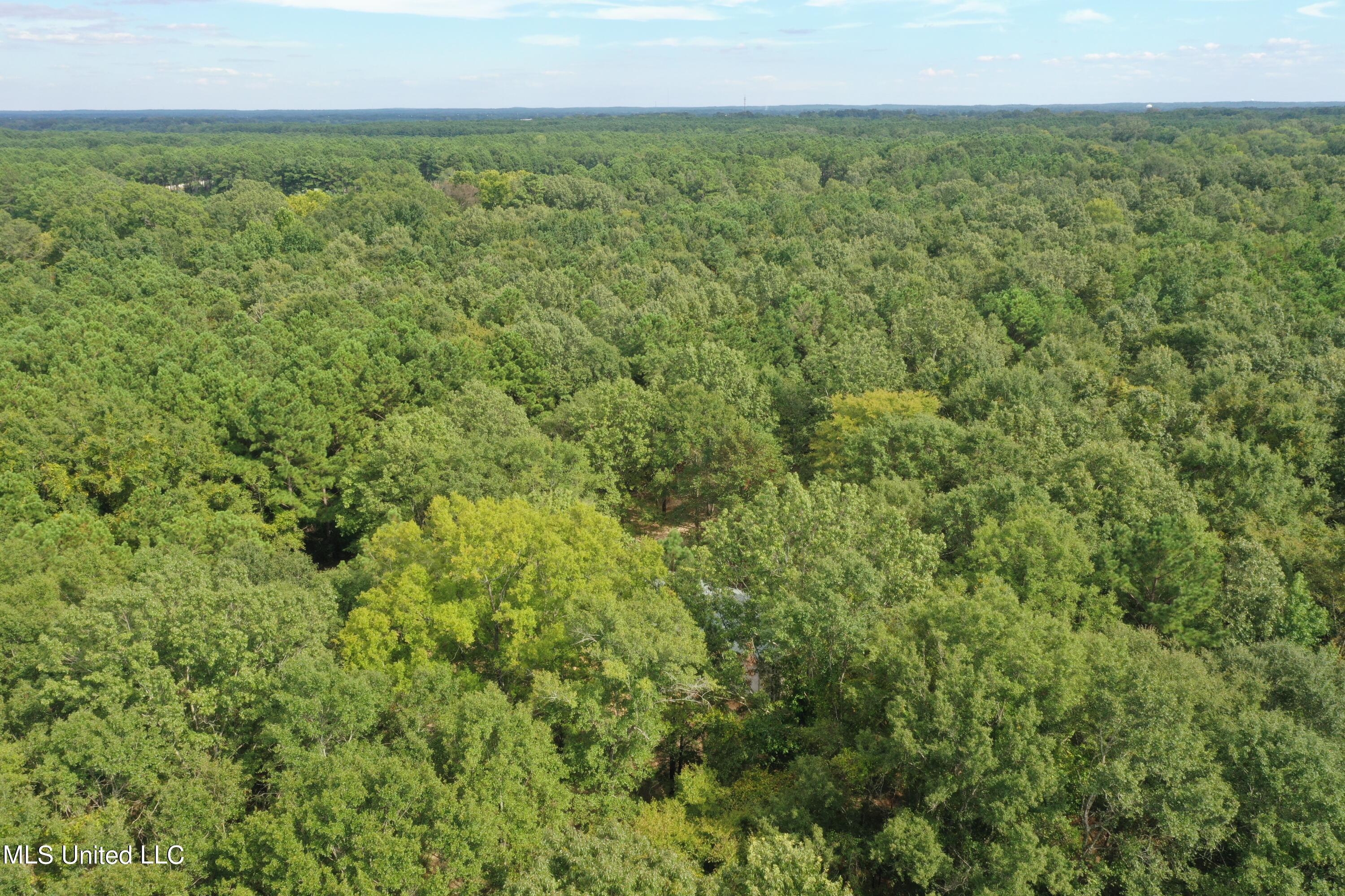 277 Stout Road Canton, MS 39046 - Photo 5 of 42 DJI_0396