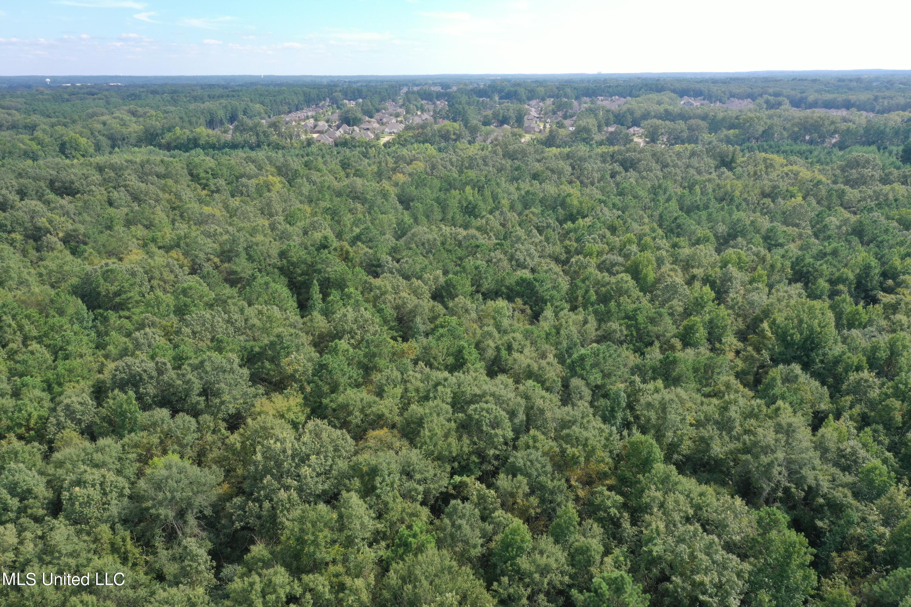 277 Stout Road Canton, MS 39046 - Photo 6 of 42 DJI_0397