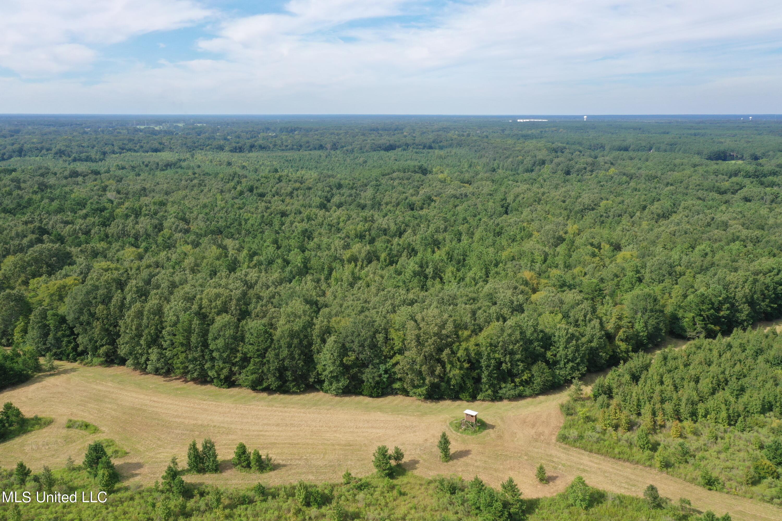 277 Stout Road Canton, MS 39046 - Photo 7 of 42 DJI_0402