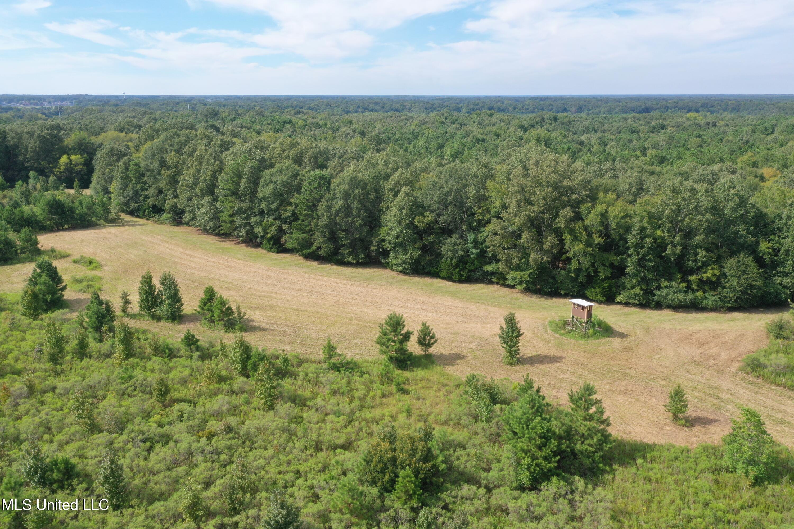 277 Stout Road Canton, MS 39046 - Photo 8 of 42 DJI_0403