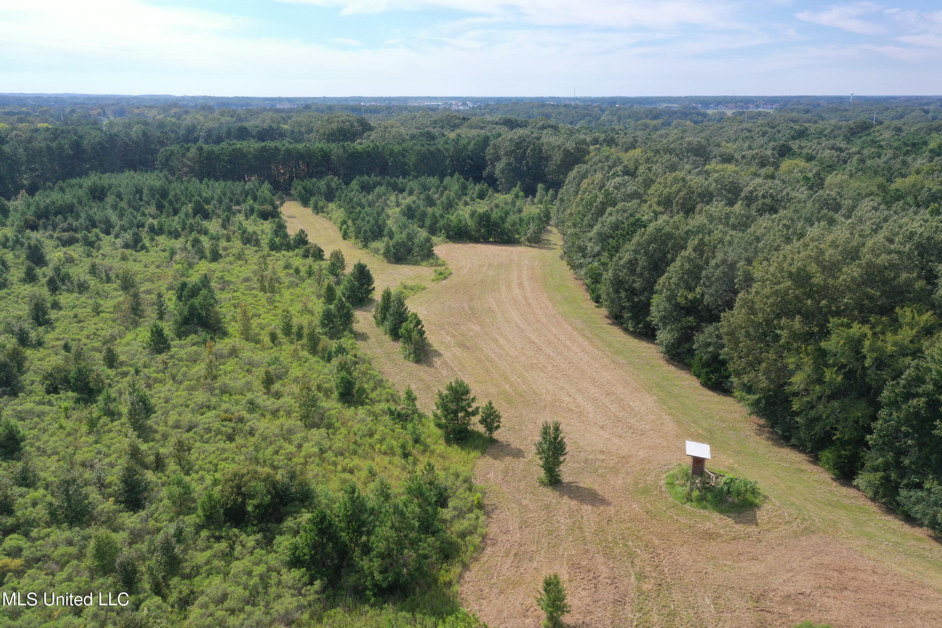 277 Stout Road Canton, MS 39046 - Photo 9 of 42 DJI_0404