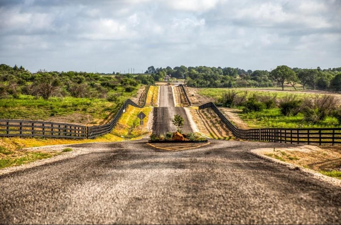 14762 Childress Rnch Drive Washington, TX 77880 - Photo 5 of 13 a view of a yard with a table and chairs
