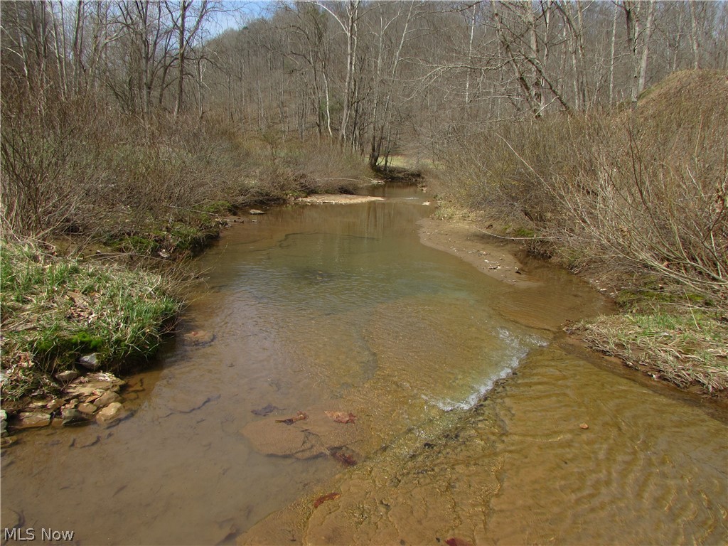 Bean Ridge Road Smithville, WV 26178 - Photo 9 of 34 Gallery Image 9