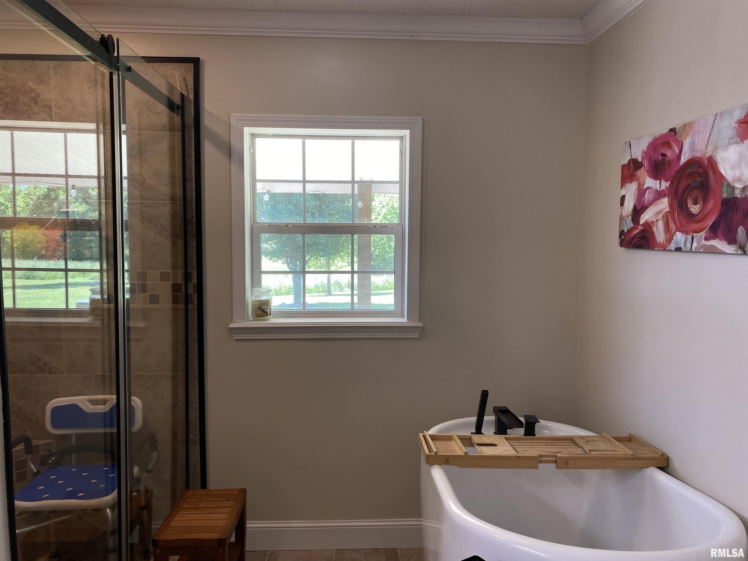 1640 Pleasant Ridge Road Vienna, IL 62995 - Photo 18 of 82