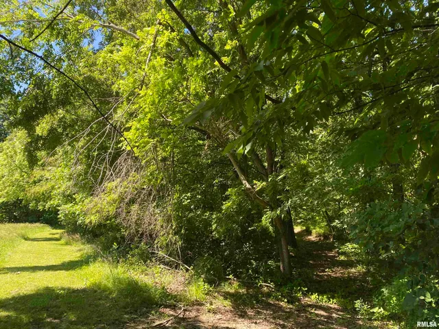 $399,900 | 1640 Pleasant Ridge Road, Vienna, IL 62995