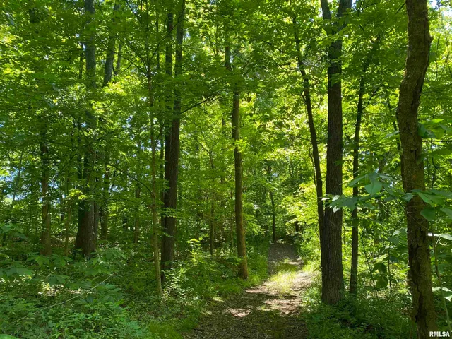 $399,900 | 1640 Pleasant Ridge Road, Vienna, IL 62995