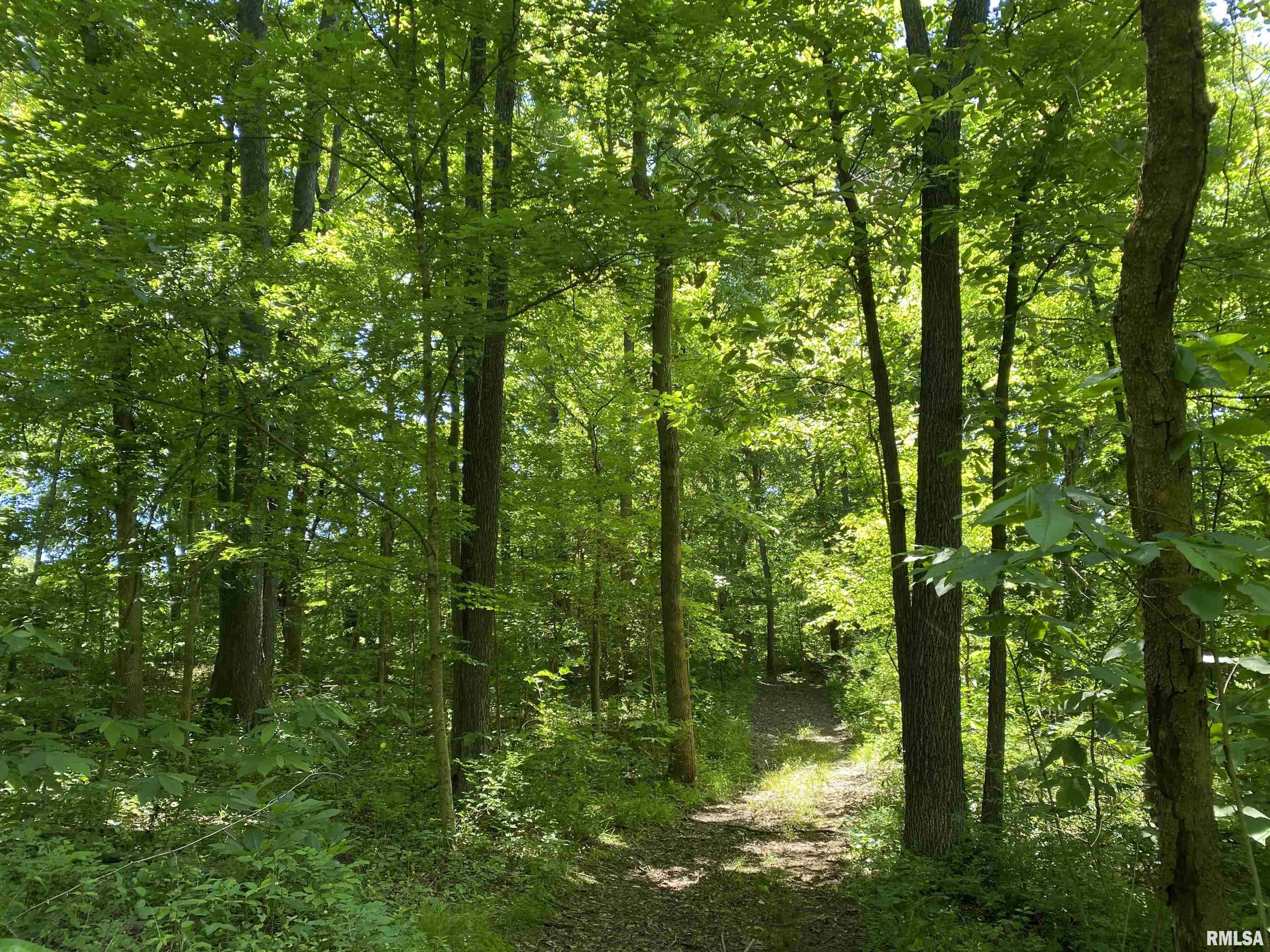 1640 Pleasant Ridge Road Vienna, IL 62995 - Photo 32 of 82