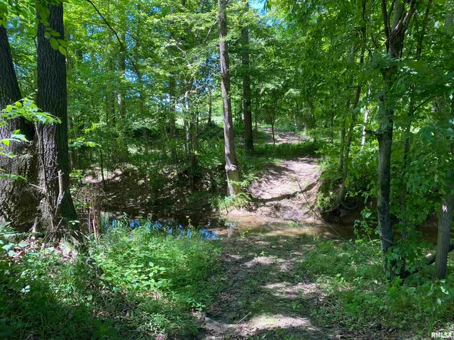 $399,900 | 1640 Pleasant Ridge Road, Vienna, IL 62995