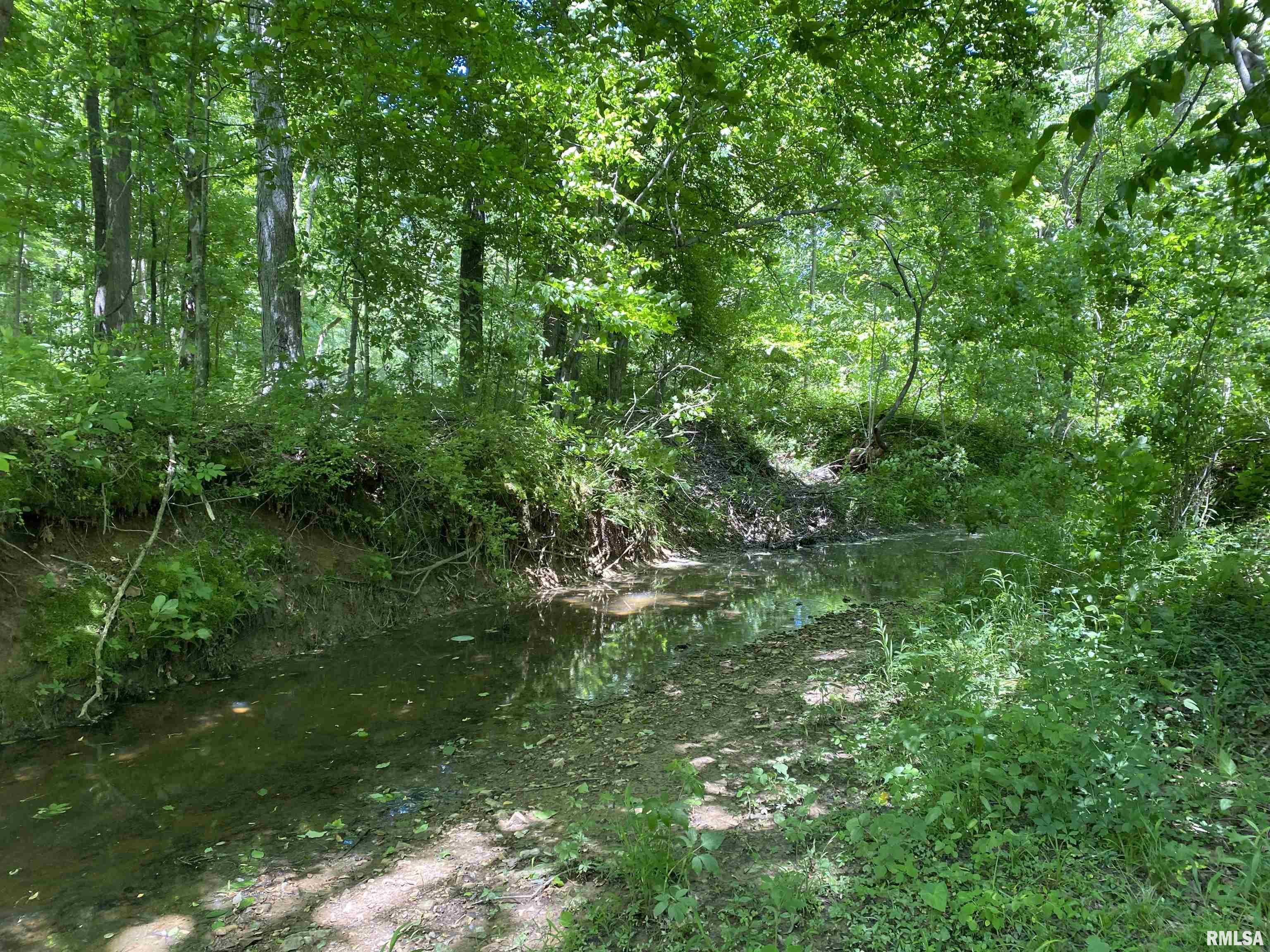 1640 Pleasant Ridge Road Vienna, IL 62995 - Photo 35 of 82