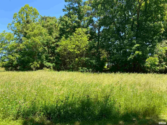 $399,900 | 1640 Pleasant Ridge Road, Vienna, IL 62995