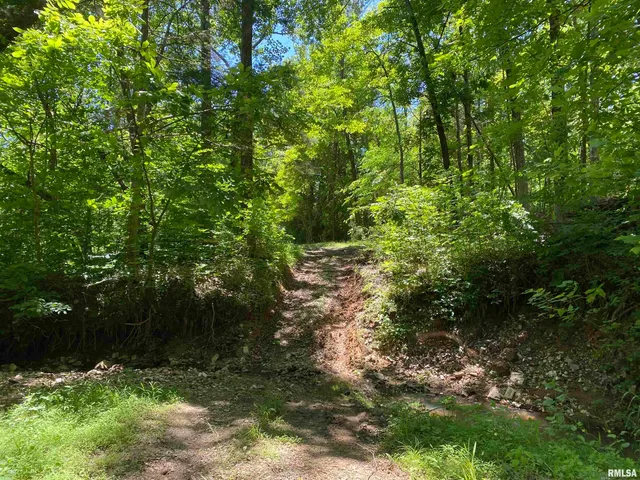 $399,900 | 1640 Pleasant Ridge Road, Vienna, IL 62995