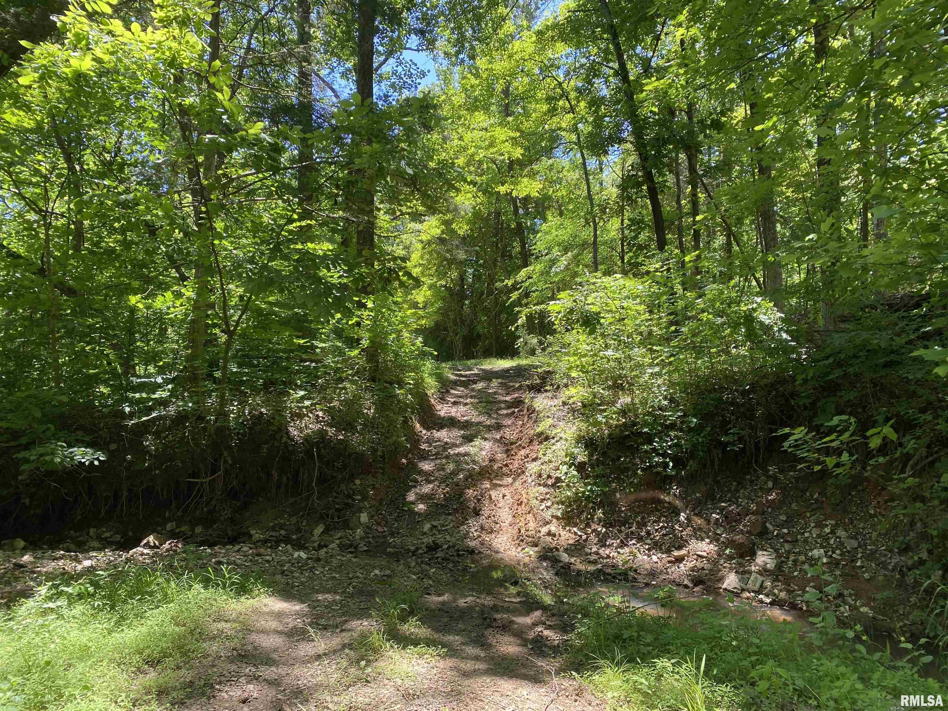 1640 Pleasant Ridge Road Vienna, IL 62995 - Photo 42 of 82