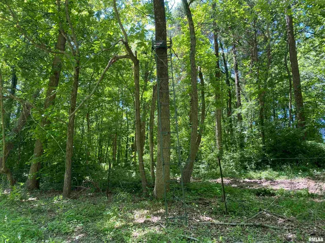 $399,900 | 1640 Pleasant Ridge Road, Vienna, IL 62995