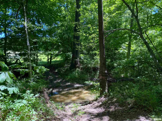 $399,900 | 1640 Pleasant Ridge Road, Vienna, IL 62995