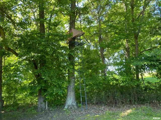 $399,900 | 1640 Pleasant Ridge Road, Vienna, IL 62995