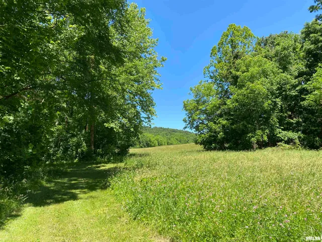 $399,900 | 1640 Pleasant Ridge Road, Vienna, IL 62995