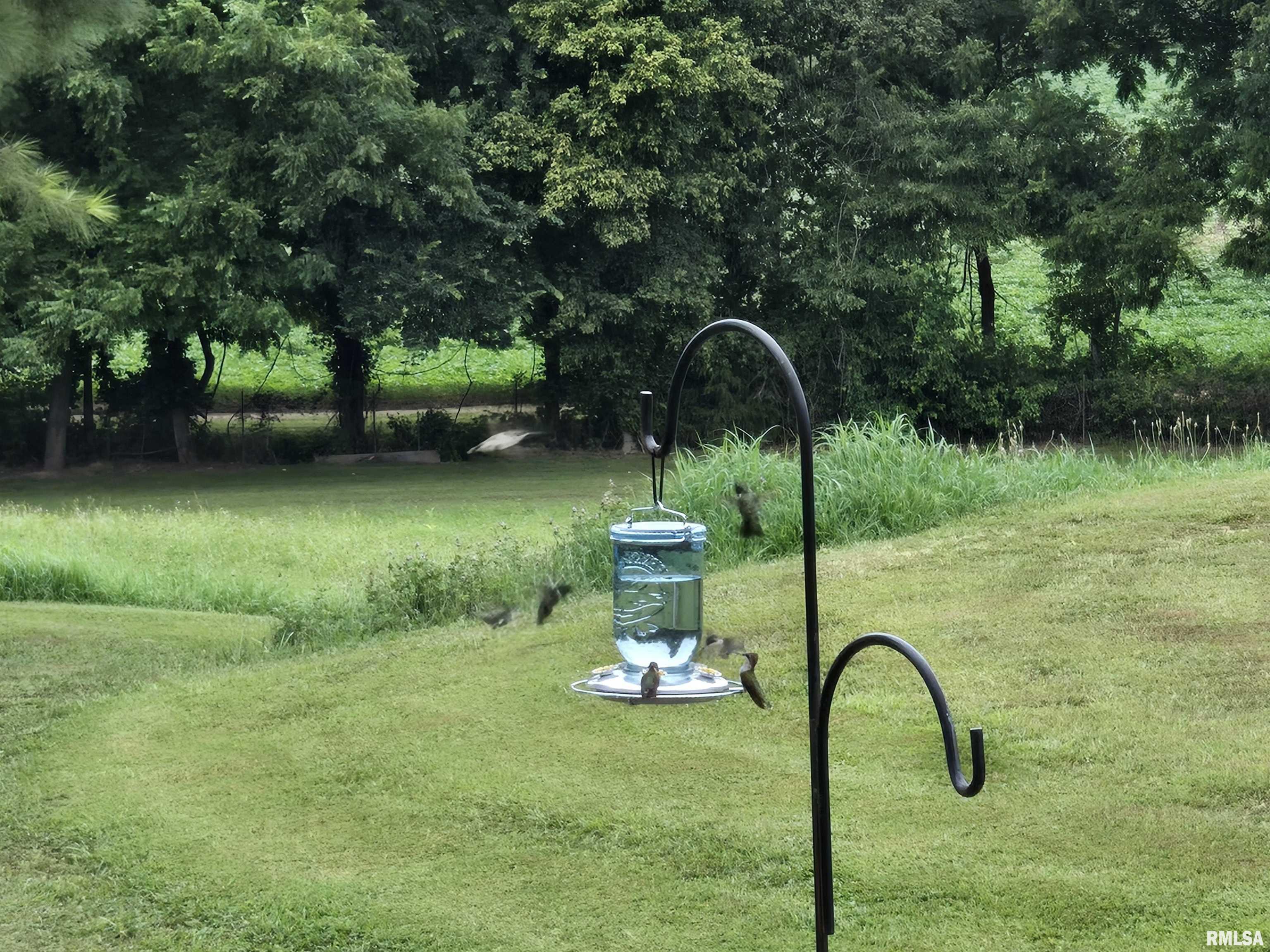 1640 Pleasant Ridge Road Vienna, IL 62995 - Photo 74 of 82