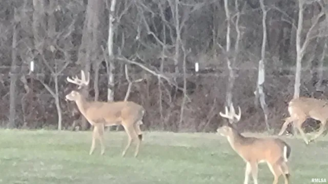 $399,900 | 1640 Pleasant Ridge Road, Vienna, IL 62995