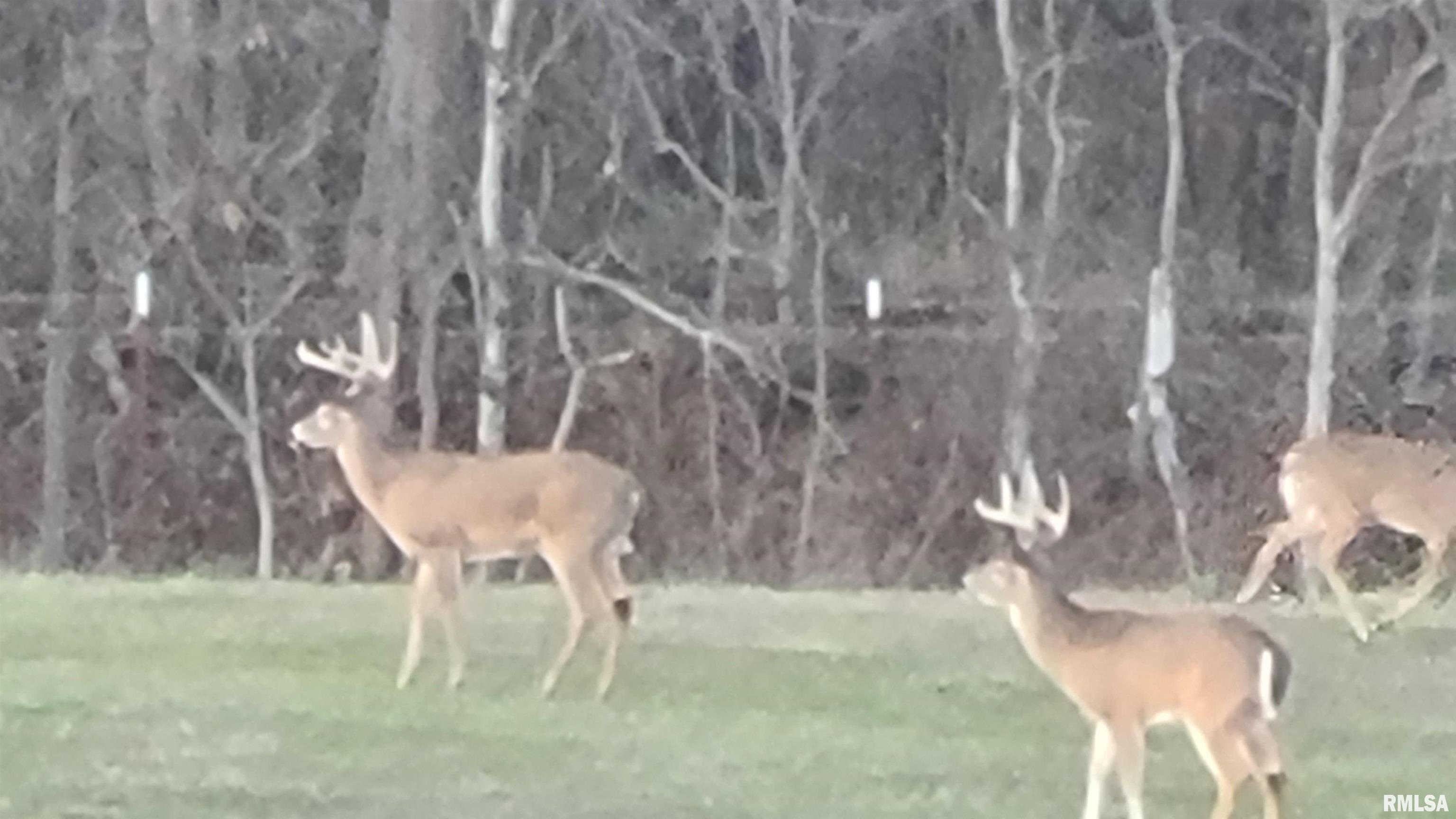 1640 Pleasant Ridge Road Vienna, IL 62995 - Photo 80 of 82