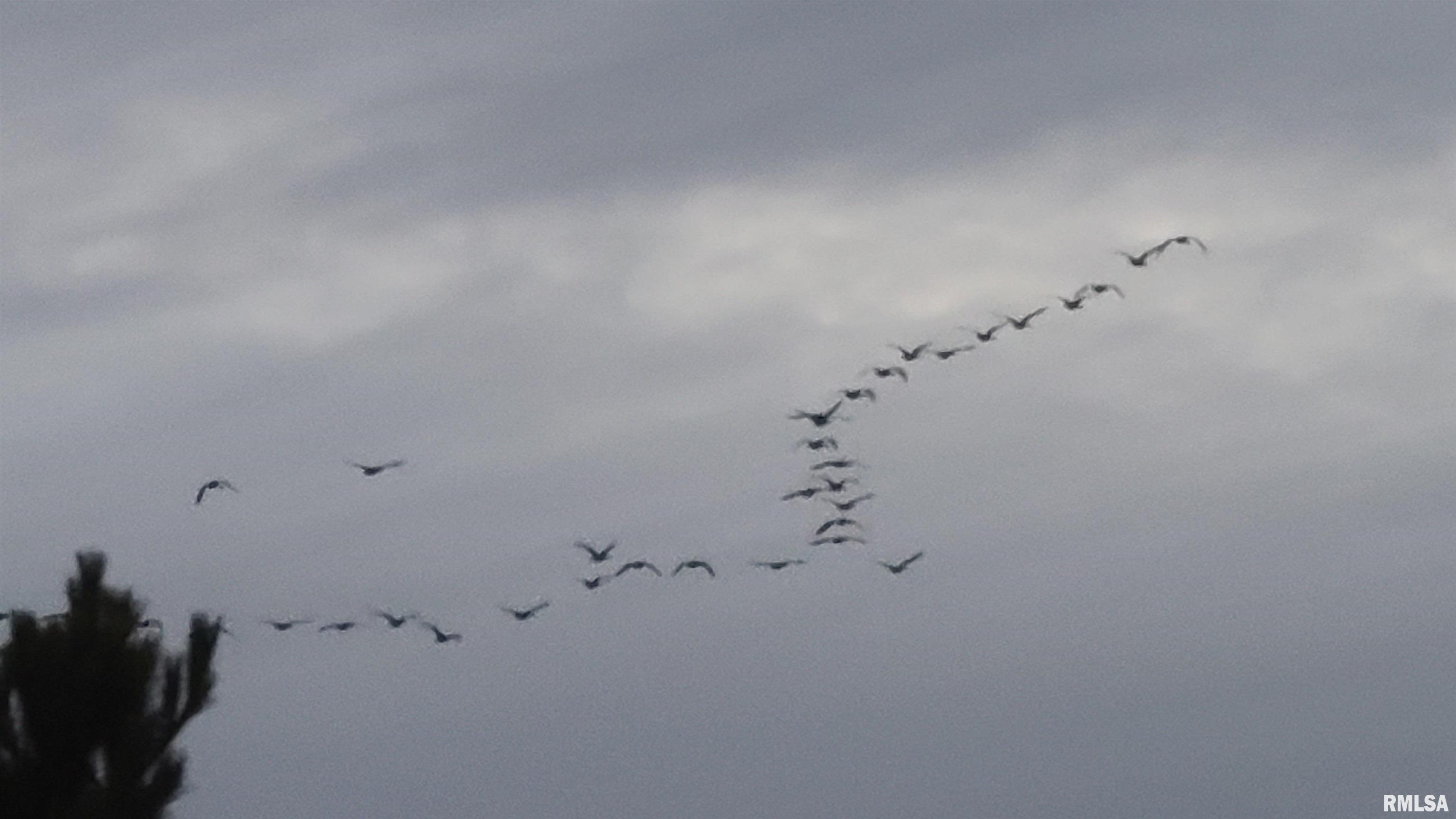 1640 Pleasant Ridge Road Vienna, IL 62995 - Photo 82 of 82