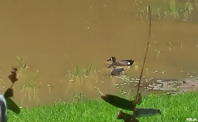 $399,900 | 1640 Pleasant Ridge Road, Vienna, IL 62995