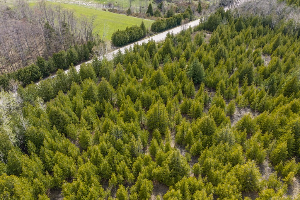 Lot 2 Hill Road Sister Bay, WI 54234 - Photo 24 of 35