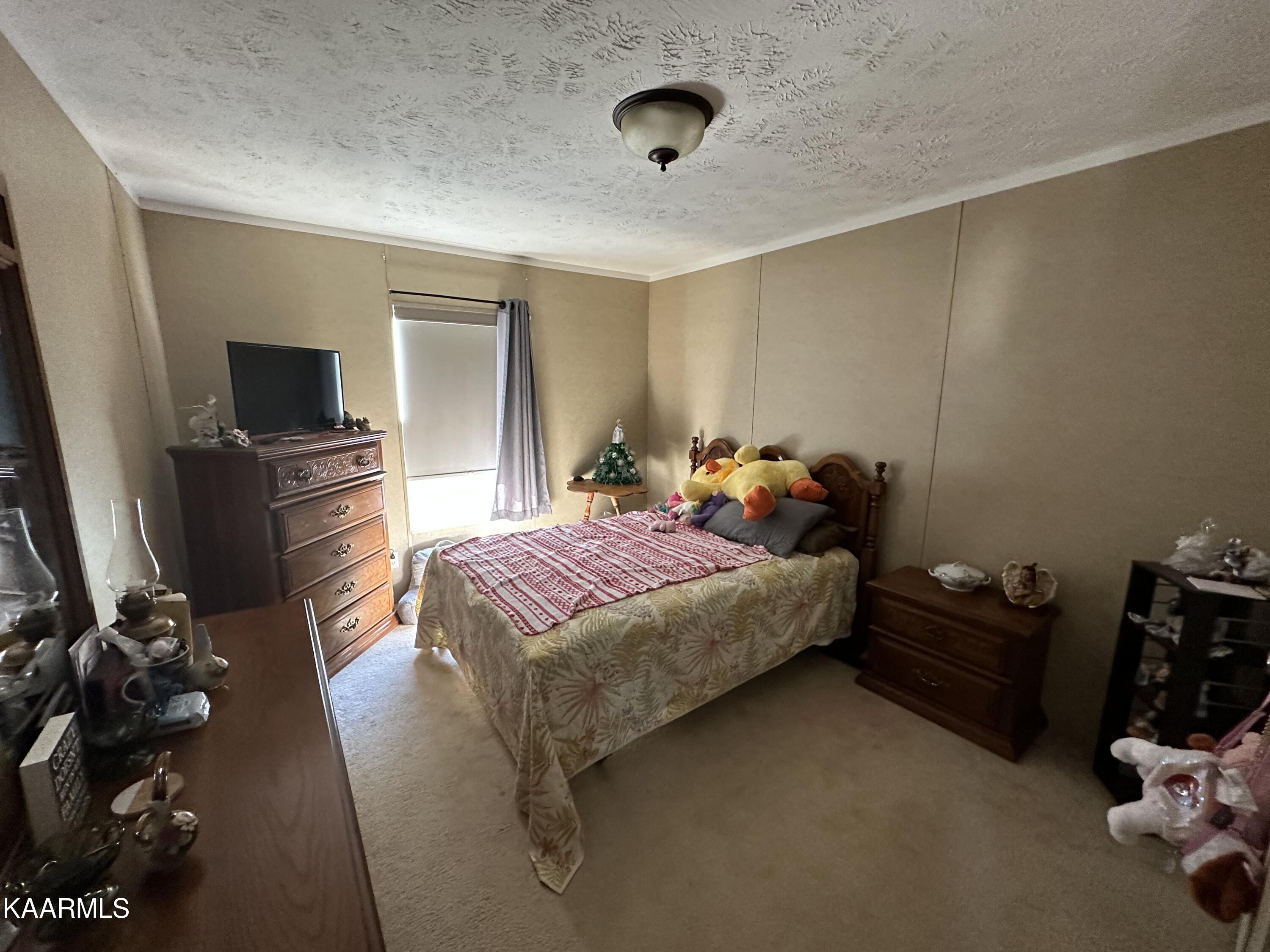 2533 Bay Meadows Way Sevierville, TN 37876 - Photo 11 of 16 88F48330-4C14-4D51-8DD3-2D9BECD39A4B