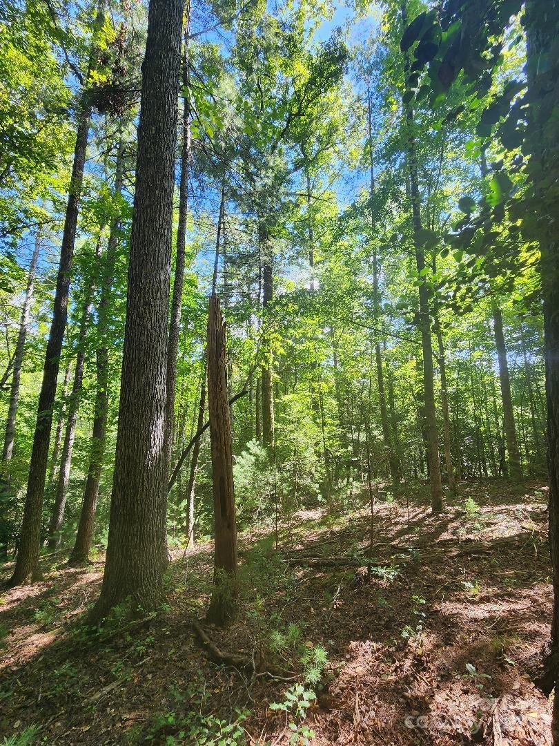 3011 Piedmont Road Morganton, NC 28655 - Photo 37 of 43 Gallery Image 37
