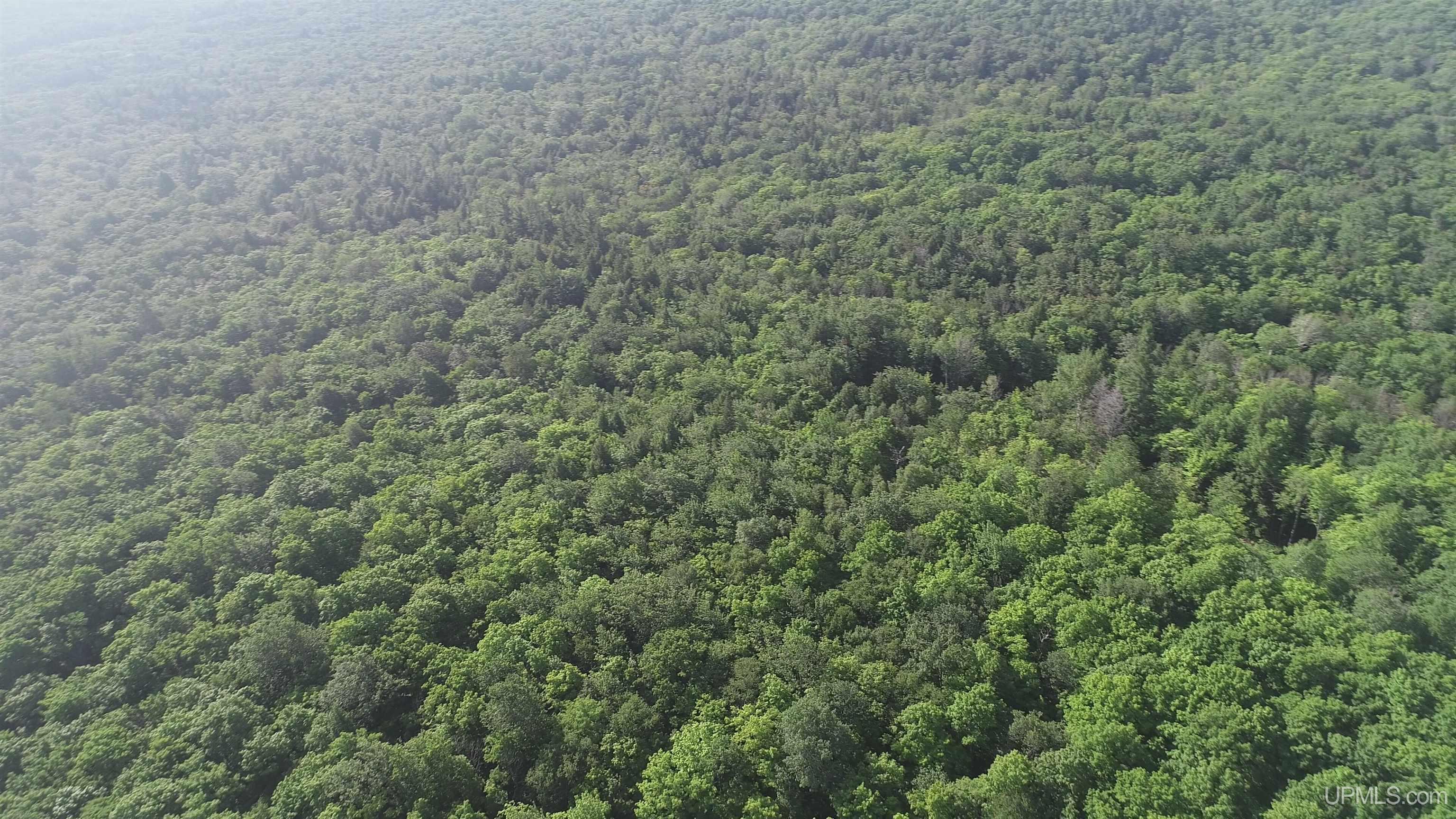 510 Rd Ishpeming Mi 49849 Road Negaunee, MI 49866 - Photo 20 of 33