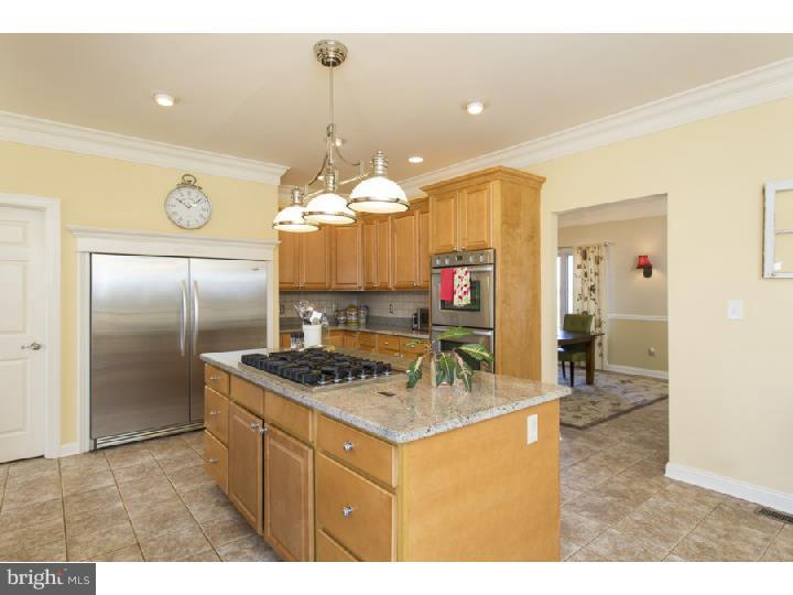 265 Federal City Road Pennington, NJ 08534 - Photo 7 of 25 Kitchen