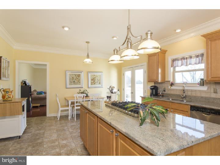 265 Federal City Road Pennington, NJ 08534 - Photo 9 of 25 Kitchen