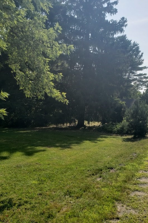 4 Russell Stage Road Blandford, MA 01008 - Photo 3 of 16