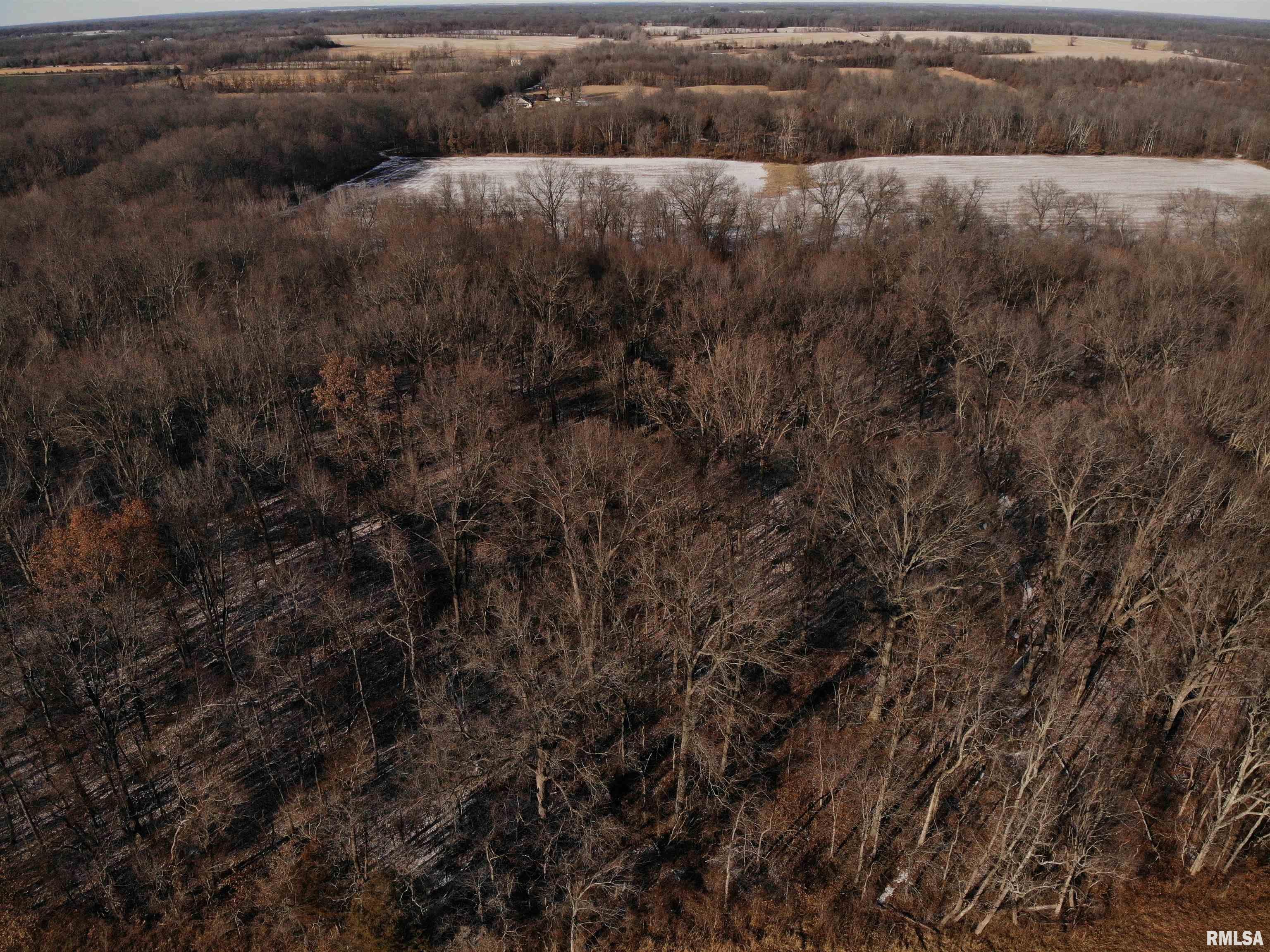 0 Lincoln Road Iuka, IL 62849 - Photo 3 of 26