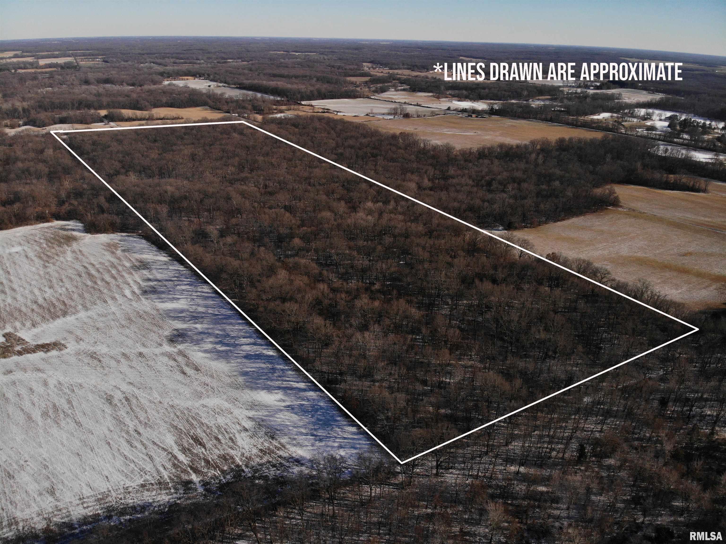0 Lincoln Road Iuka, IL 62849 - Photo 4 of 26