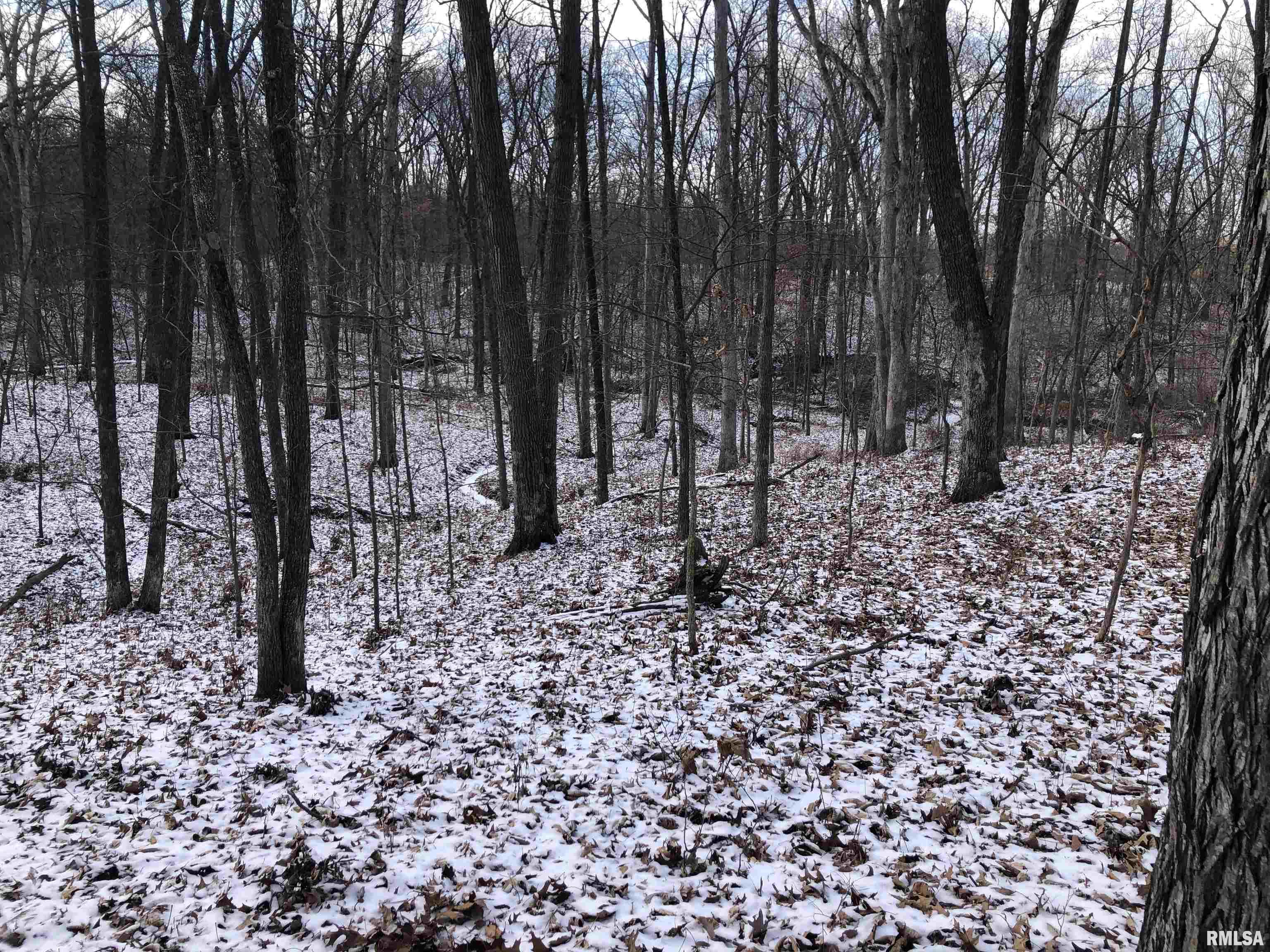 0 Lincoln Road Iuka, IL 62849 - Photo 8 of 26