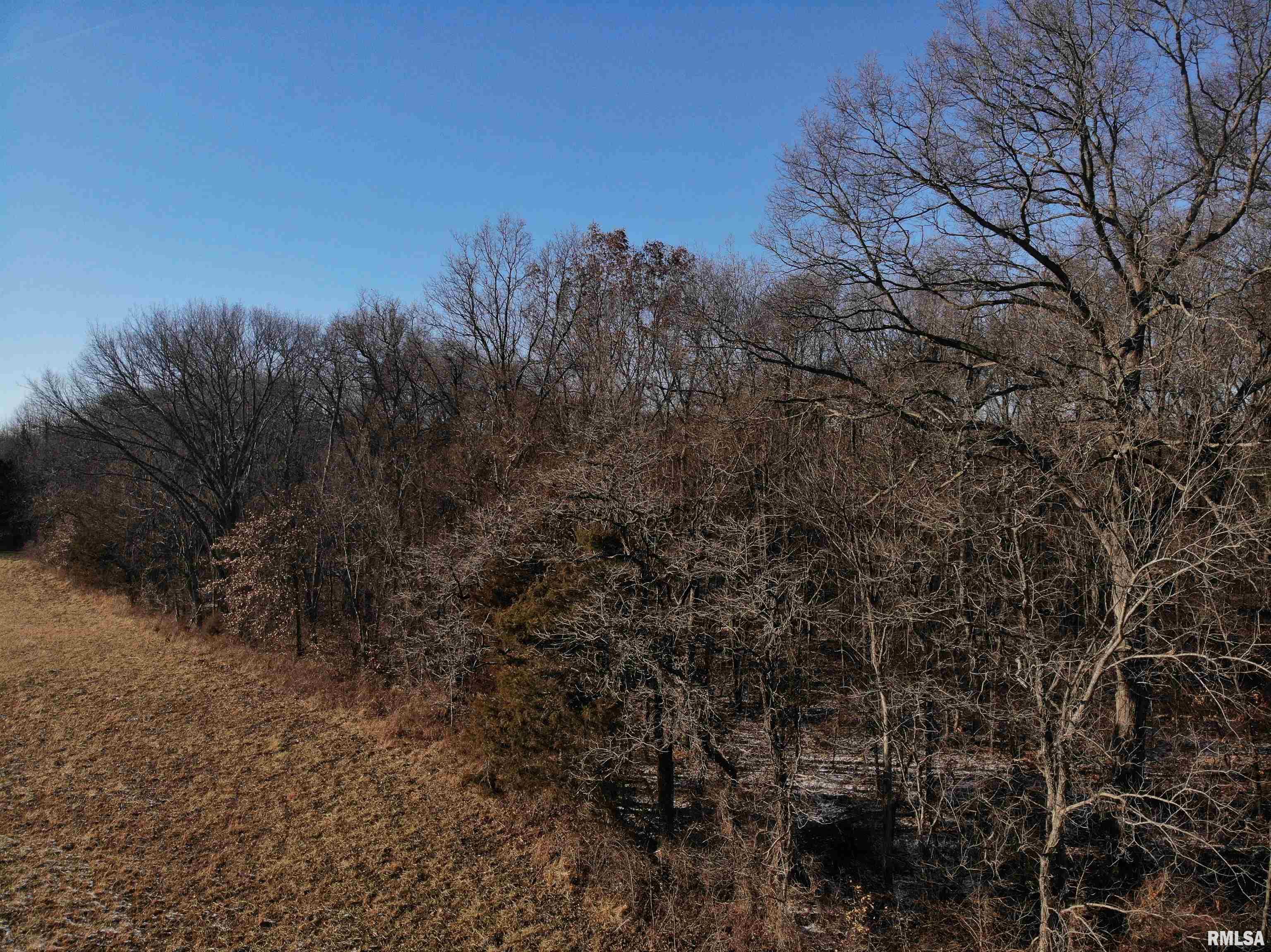 0 Lincoln Road Iuka, IL 62849 - Photo 9 of 26