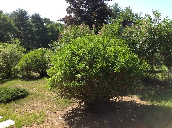 165 Shaker Road Westfield, MA 01085 - Photo 2 of 24 Gallery Image 2