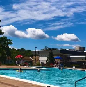 a house view with a backyard