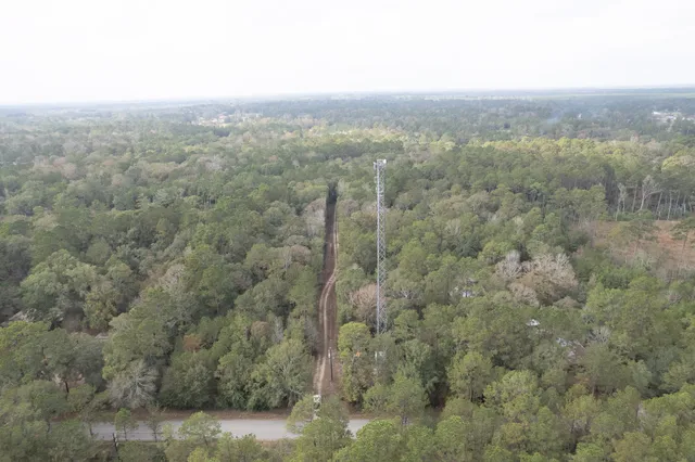 a view of a city with lush green forest