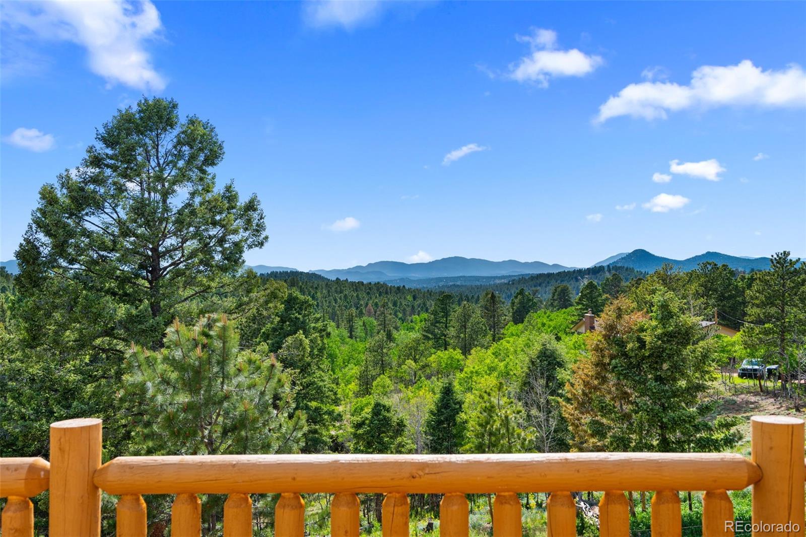4269 Cedar Mountain Road Divide, CO 80814 - Photo 21 of 37