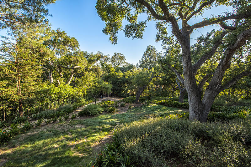 860 Ashley Road Montecito, CA 93108 - Photo 17 of 34 17-860 AshleyRd__25-Rear Gardens