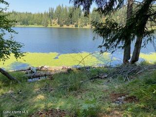 90 Shawnee Path Sagle, ID 83860 - Photo 29 of 47 IMG_2879