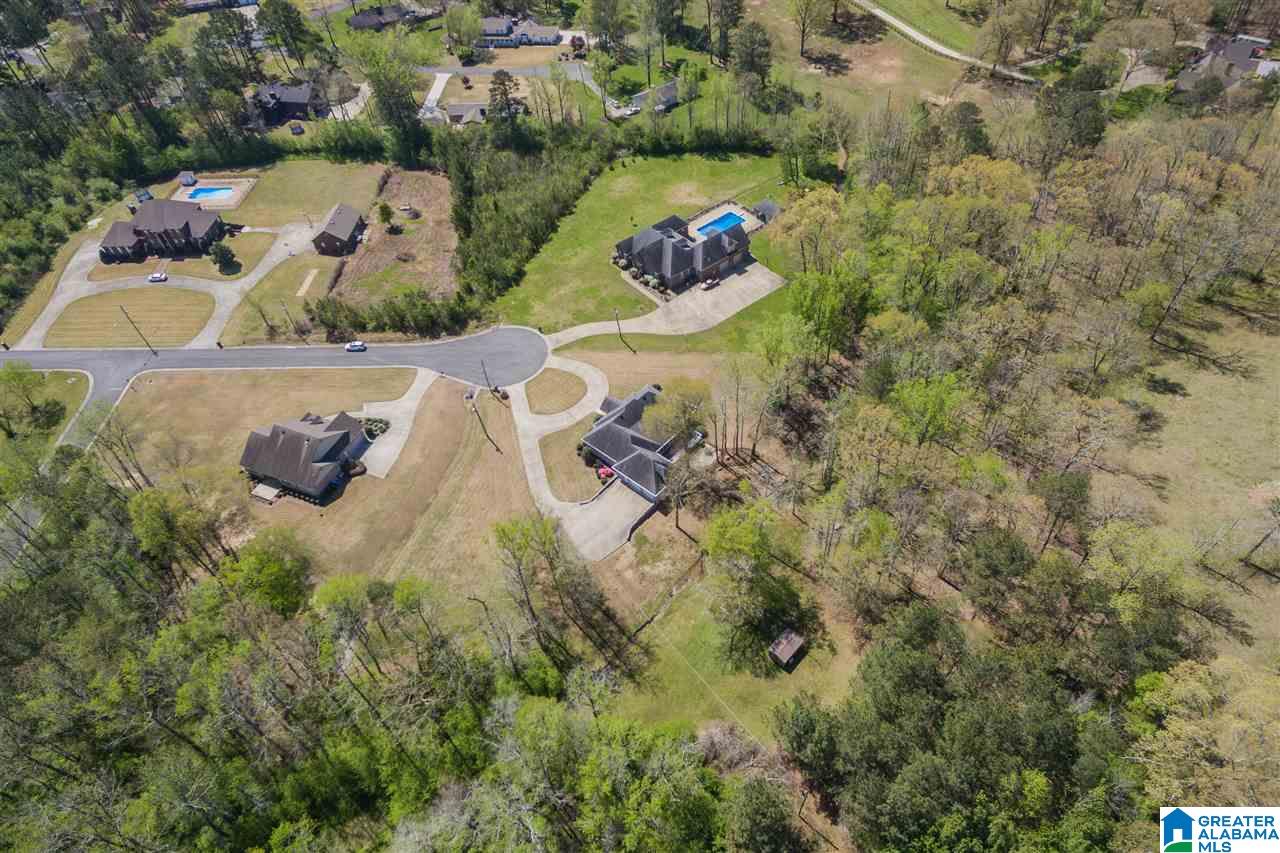 101 Deer Trace Road Oneonta, AL 35121 - Photo 46 of 50