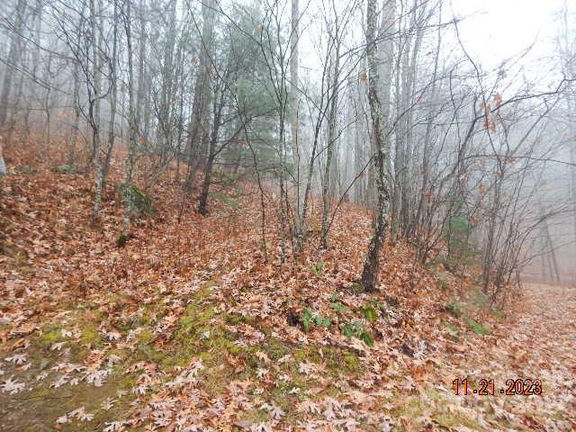 0 Meadows Road, Unit 10 Canton, NC 28716 - Photo 1 of 5 a view of forest