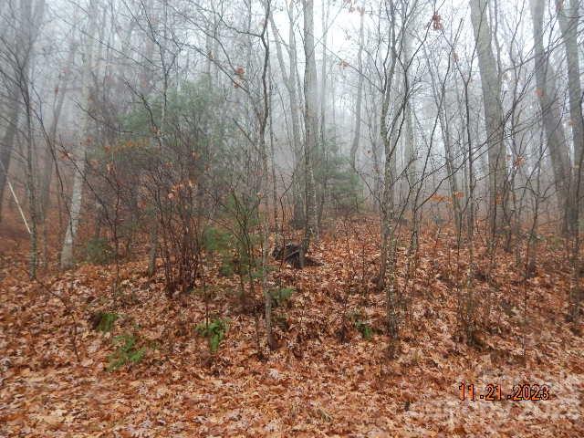 0 Meadows Road, Unit 10 Canton, NC 28716 - Photo 5 of 5