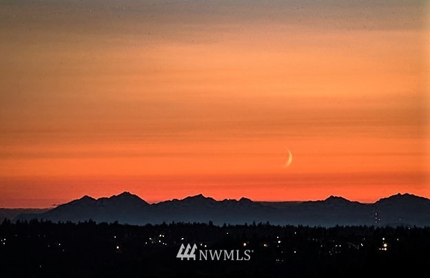 740 North 32nd Street, Unit 4 Renton, WA 98056 - Photo 19 of 19