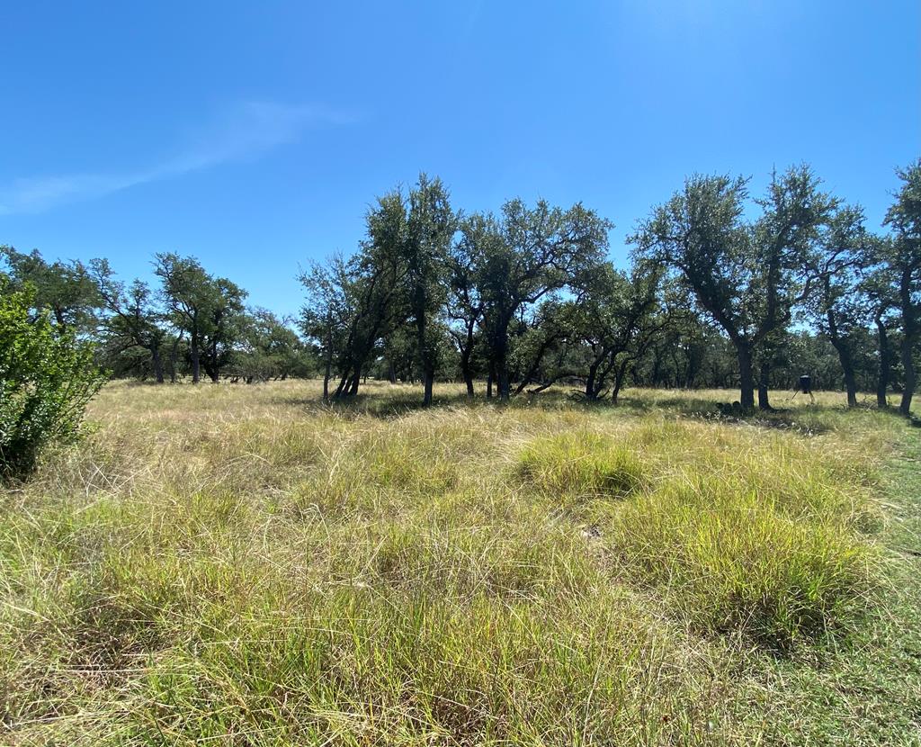 210 Dally Road Comfort, TX 78013 - Photo 78 of 79 Land