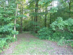 371 West Dittemore Road Bloomington, IN 47404 - Photo 23 of 23