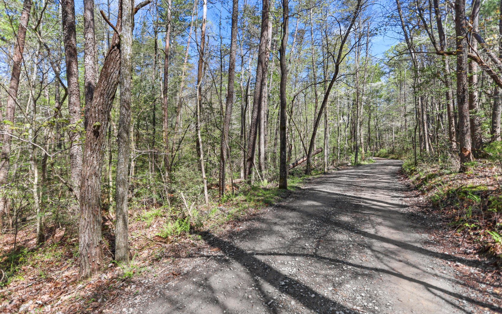 Hurley Lane Blue Ridge, GA 30513 - Photo 2 of 13 Additional View